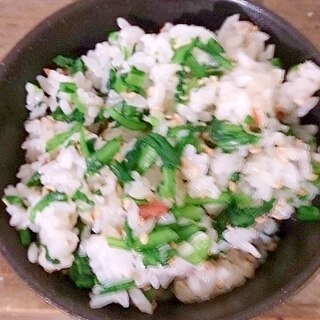 菊菜の混ぜご飯